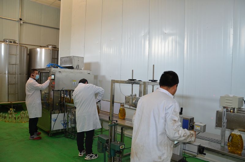 product-800-530